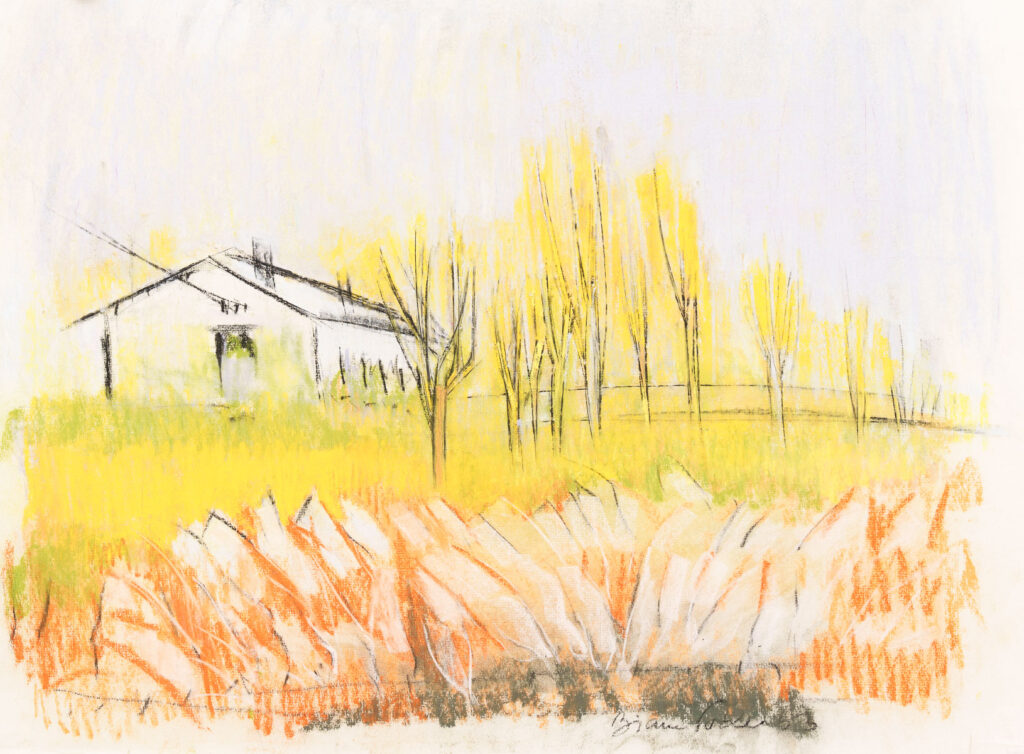 Helen Bianca Podea - Gospodărie din Stupini