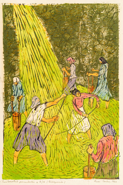 Eva Cerbu - La însilozatul porumbului